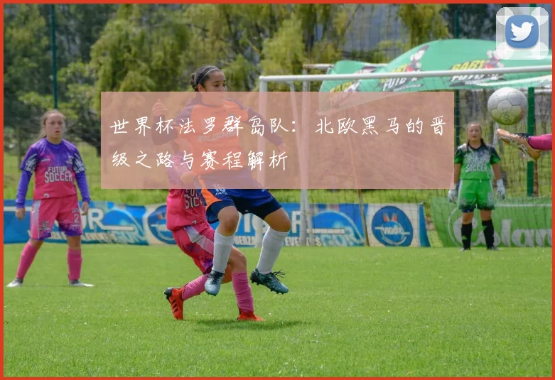 世界杯法罗群岛队：北欧黑马的晋级之路与赛程解析