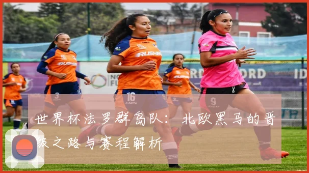 世界杯法罗群岛队：北欧黑马的晋级之路与赛程解析